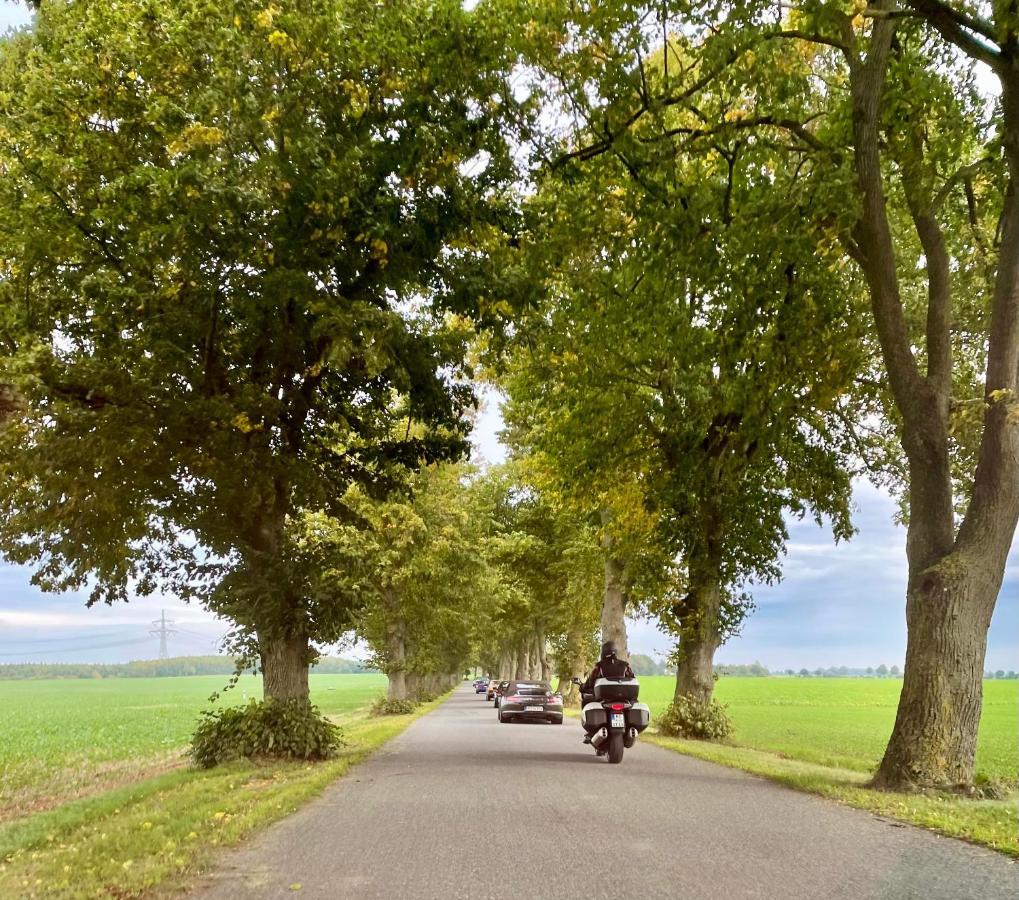 Ferienwohnung Kranichnest Neubrandenburg Bagian luar foto
