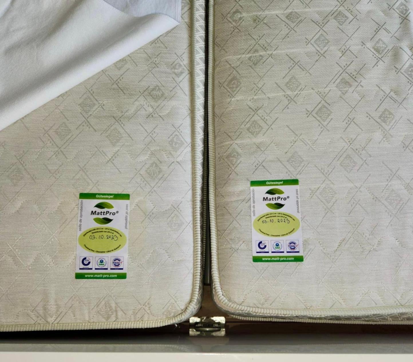 Ferienwohnung Kranichnest Neubrandenburg Bagian luar foto